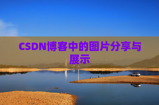 CSDN博客中的图片分享与展示